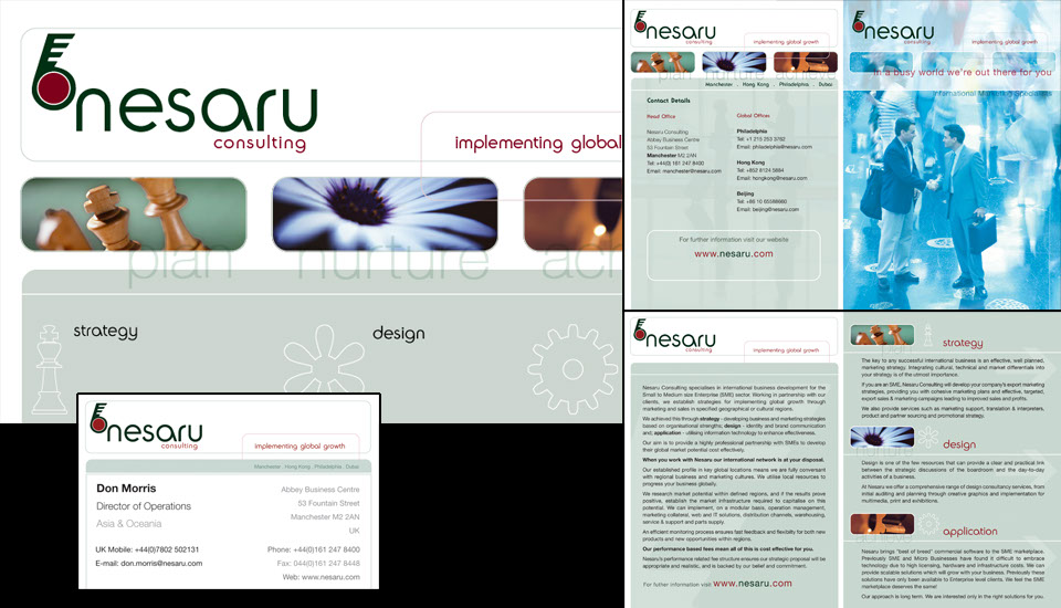 Nesaru naming, branding, graphics and website designed by Don Allen, Sense Not Logic.
