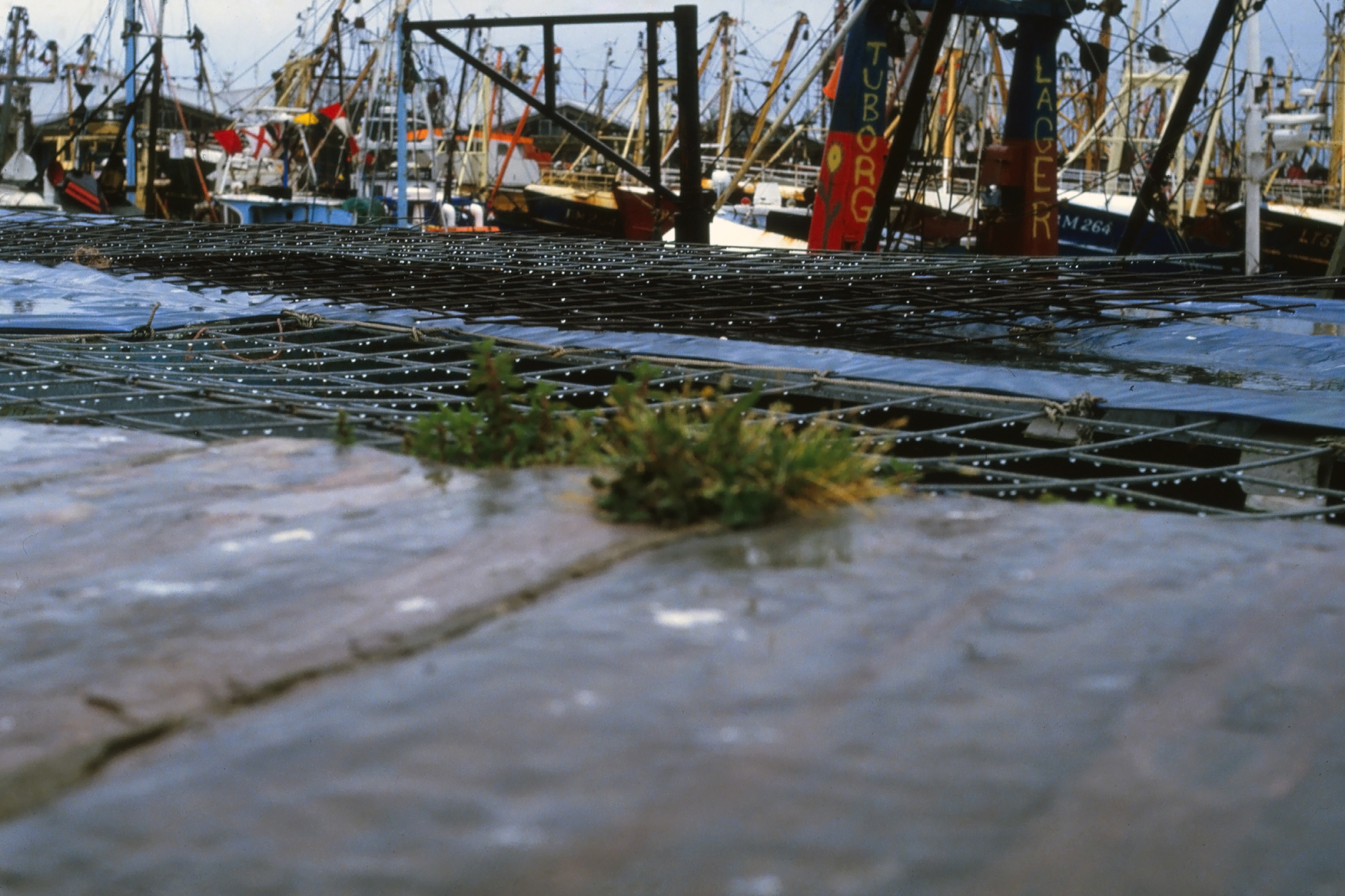 There's more beyond the place you're looking now. Brixham Harbour, UK. Photo © Don Allen