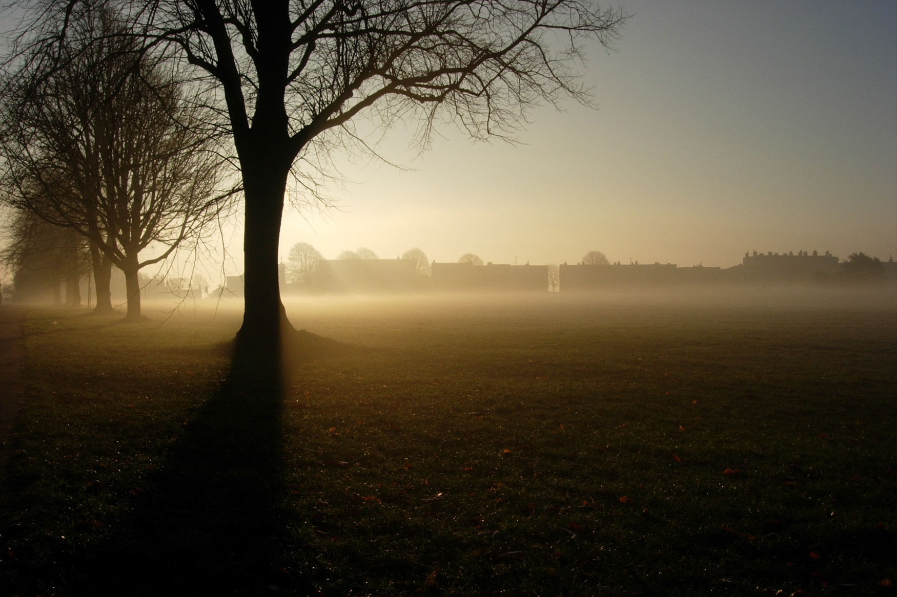 The early bird catches the worm. Don't be afraid to innovate. The Downs, Bristol, UK. Photo © Don Allen